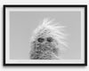 Black-and-white cactus print featuring a windswept cool cactus with sunglasses in a minimalist desert setting.