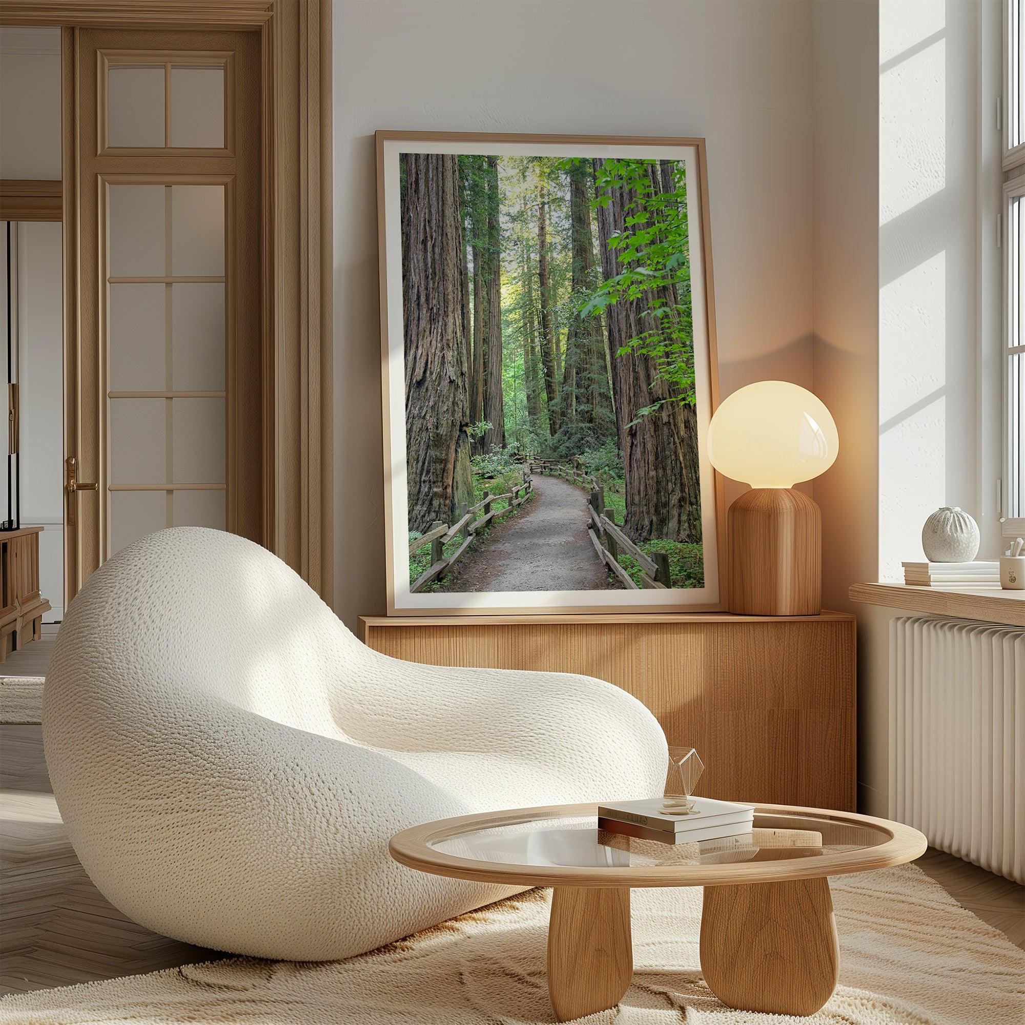 Redwood trees wall art featuring a tranquil forest path through tall redwoods with lush greenery.