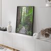 Redwood trees wall art featuring a tranquil forest path through tall redwoods with lush greenery.