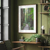 Redwood trees wall art featuring a tranquil forest path through tall redwoods with lush greenery.