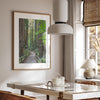 Redwood trees wall art featuring a tranquil forest path through tall redwoods with lush greenery.