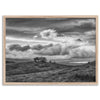 Moody landscape art of Sierra Vista Preserve with a lone tree and dramatic clouds in black and white.