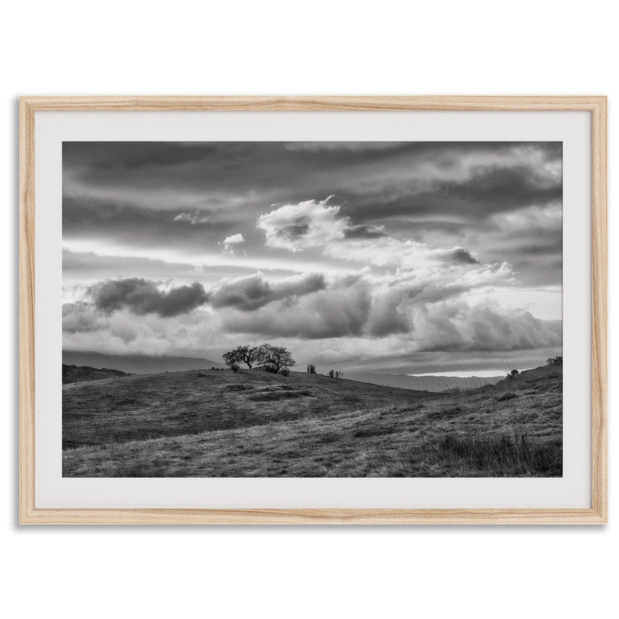 Moody landscape art of Sierra Vista Preserve with a lone tree and dramatic clouds in black and white.