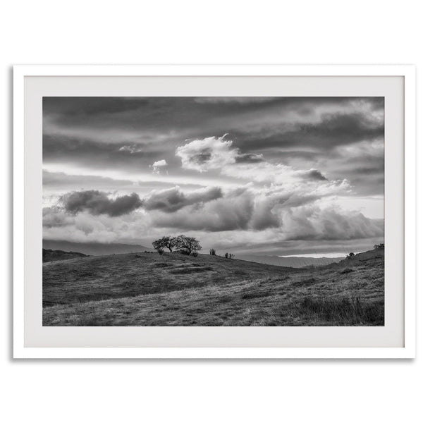 Moody landscape art of Sierra Vista Preserve with a lone tree and dramatic clouds in black and white.