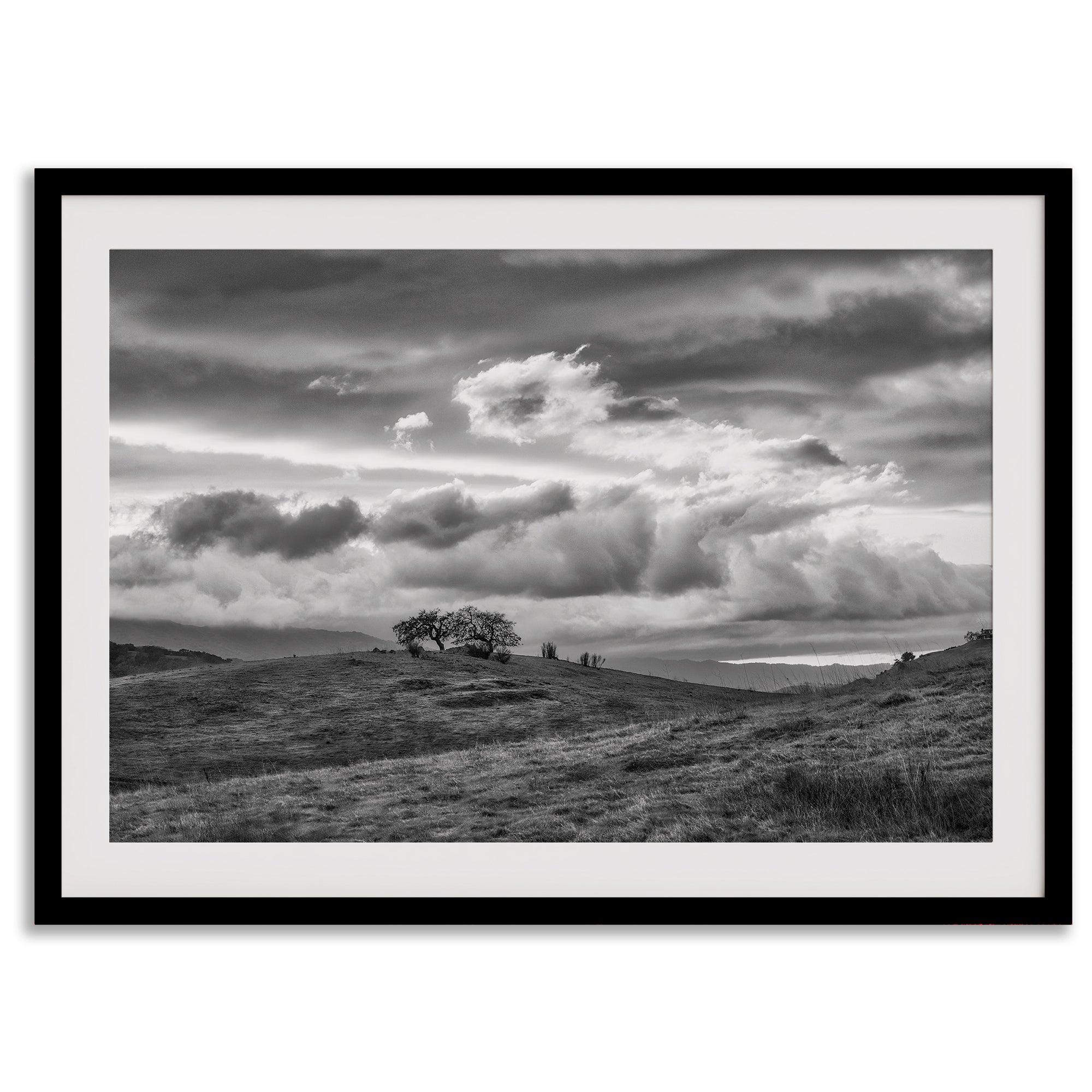 Moody landscape art of Sierra Vista Preserve with a lone tree and dramatic clouds in black and white.