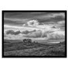 Moody landscape art of Sierra Vista Preserve with a lone tree and dramatic clouds in black and white.