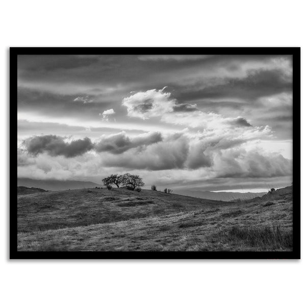 Moody landscape art of Sierra Vista Preserve with a lone tree and dramatic clouds in black and white.