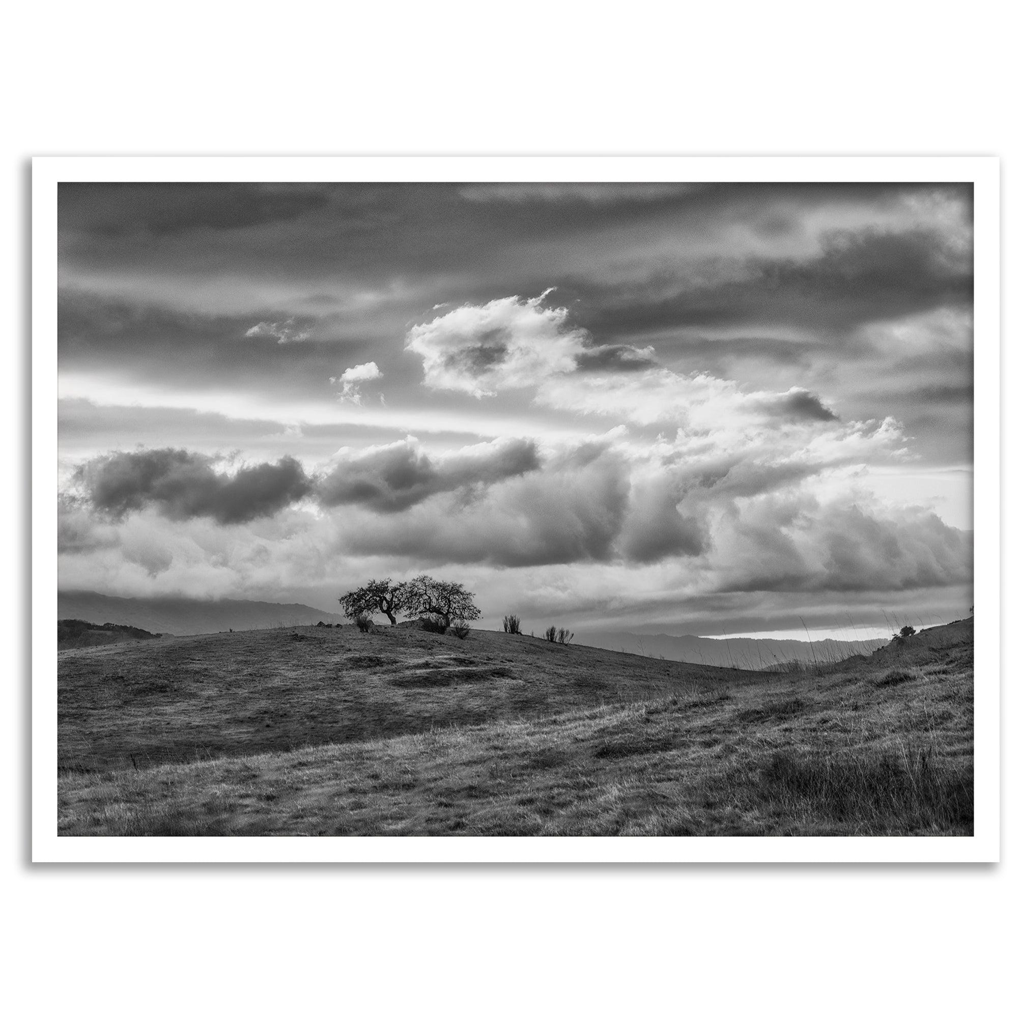 Moody landscape art of Sierra Vista Preserve with a lone tree and dramatic clouds in black and white.