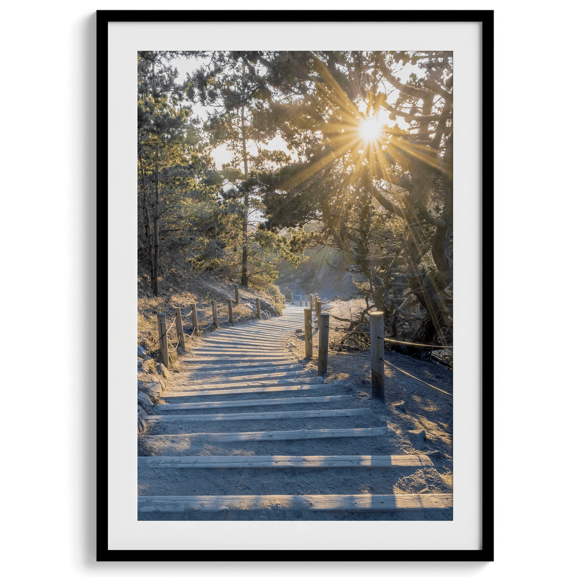 A fine art coastal forest sunset print from San Francisco Lands End. This wood path wall art comes framed or unframed.