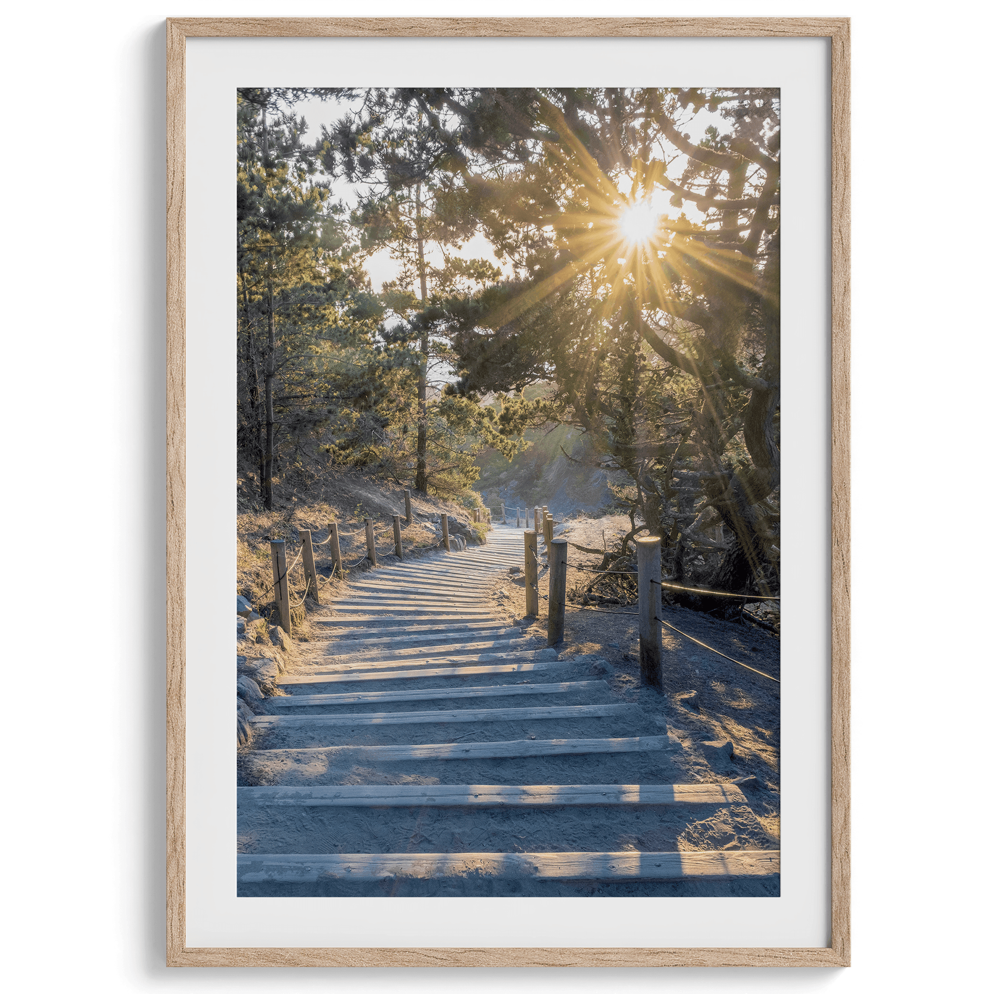 A fine art coastal forest sunset print from San Francisco Lands End. This wood path wall art comes framed or unframed.