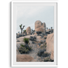 A fine art framed desert print featuring unique rock formations, desert plants, and Joshua Trees.