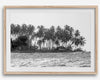 Black and white photo of a palm tree-covered Caribbean island in the Dominican Republic – tropical fine art photography print