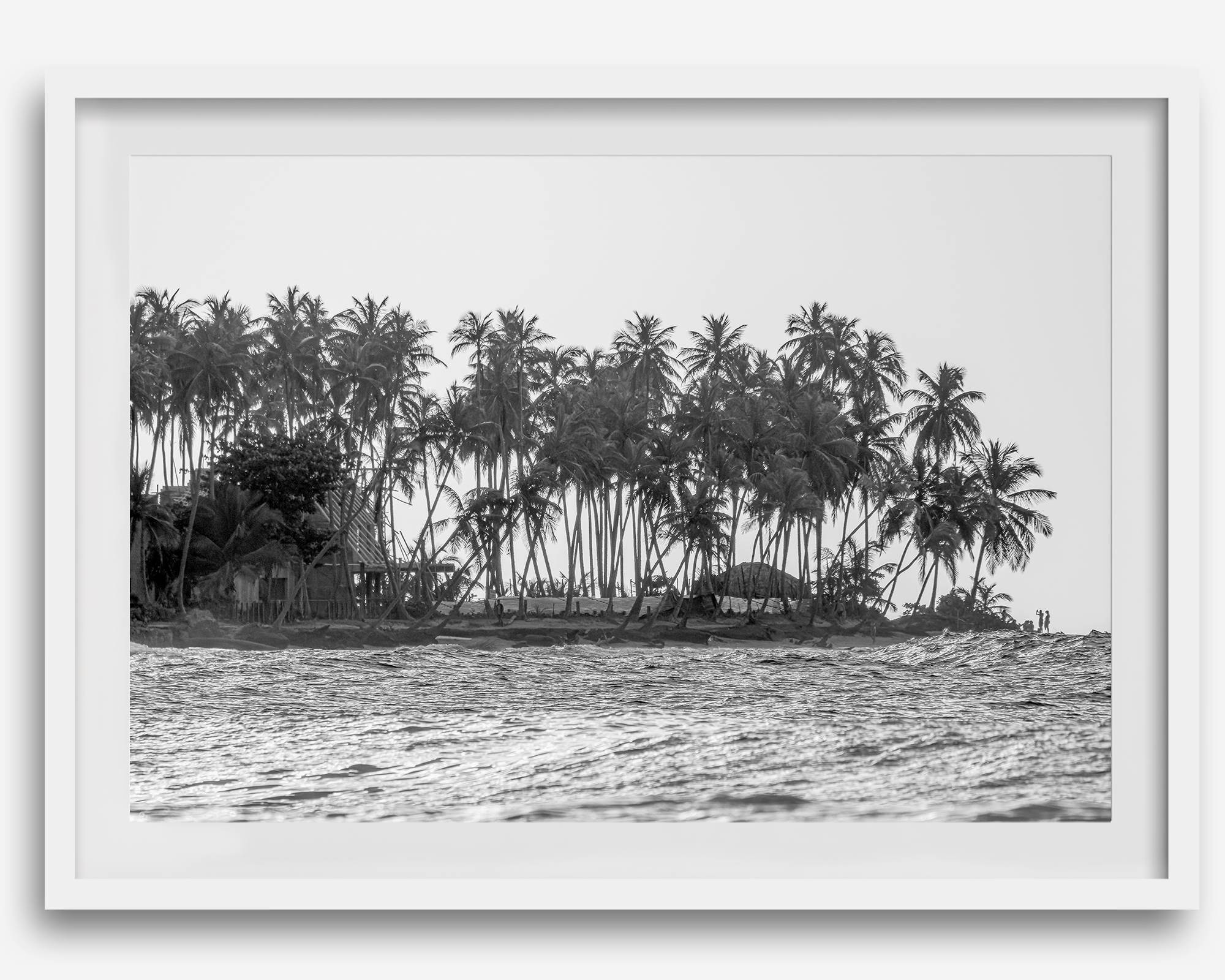 Black and white photo of a palm tree-covered Caribbean island in the Dominican Republic – tropical fine art photography print