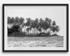 Black and white photo of a palm tree-covered Caribbean island in the Dominican Republic – tropical fine art photography print