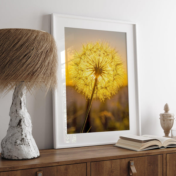 Dandelion wall art featuring a glowing dandelion at sunset, perfect for yellow wall art and floral wall decor.