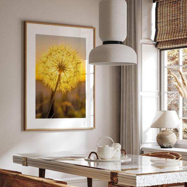 Dandelion wall art featuring a glowing dandelion at sunset, perfect for yellow wall art and floral wall decor.