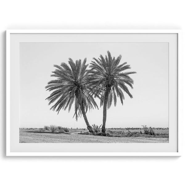 Palm Power - Wow Photo Art