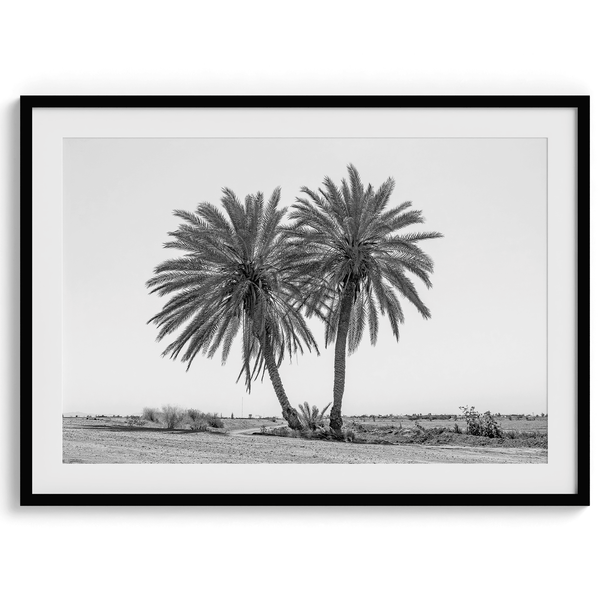 Palm Power - Wow Photo Art