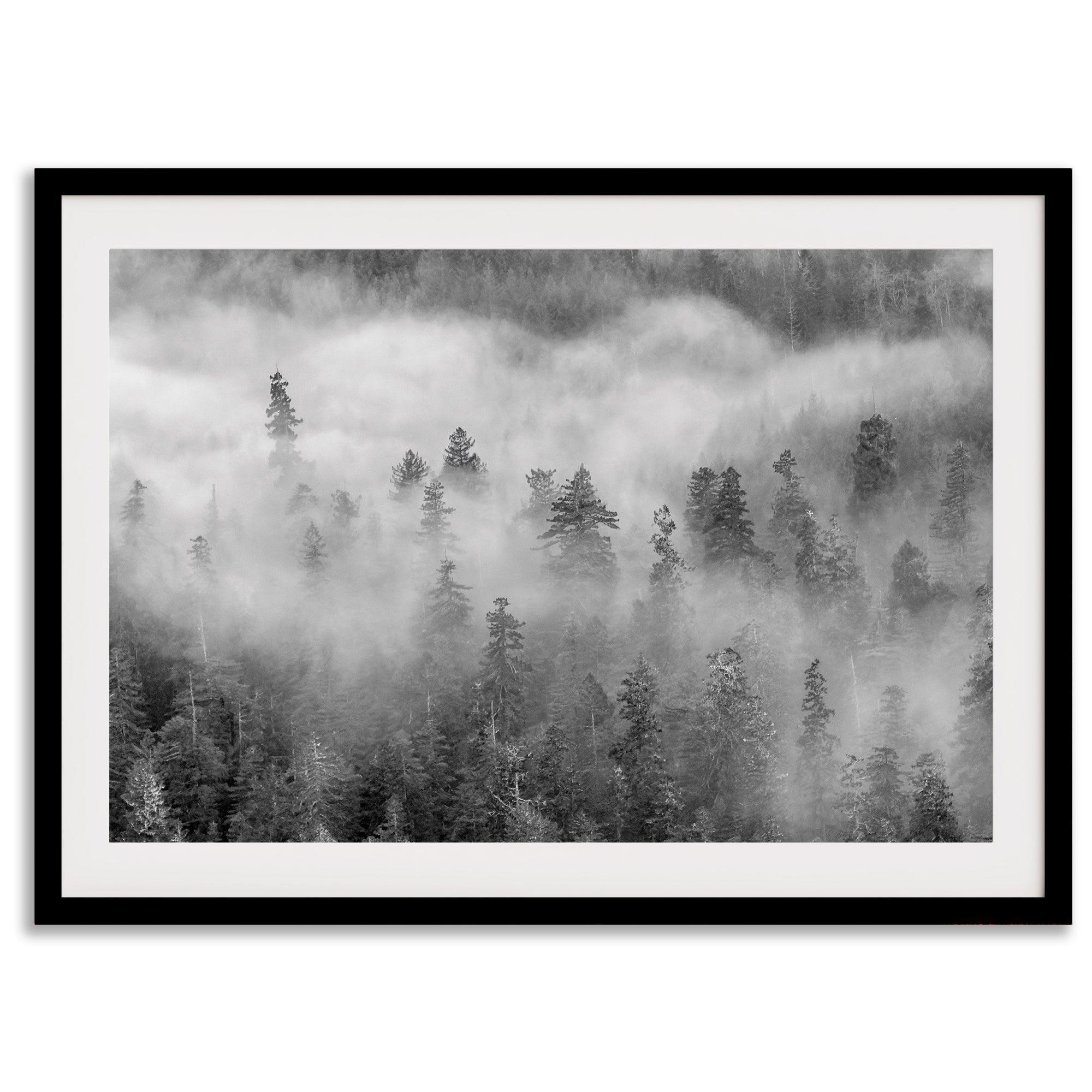 Fine-Art-Misty-Forest-Photography-Print-5