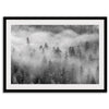 Fine-Art-Misty-Forest-Photography-Print-5