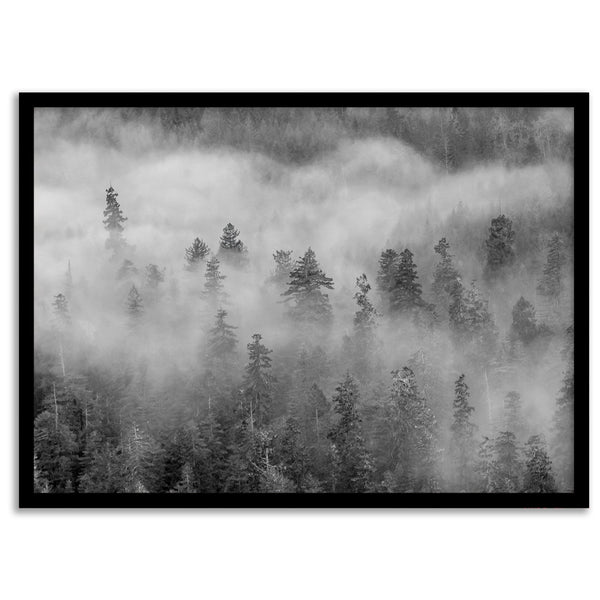 Fine-Art-Misty-Forest-Photography-Print