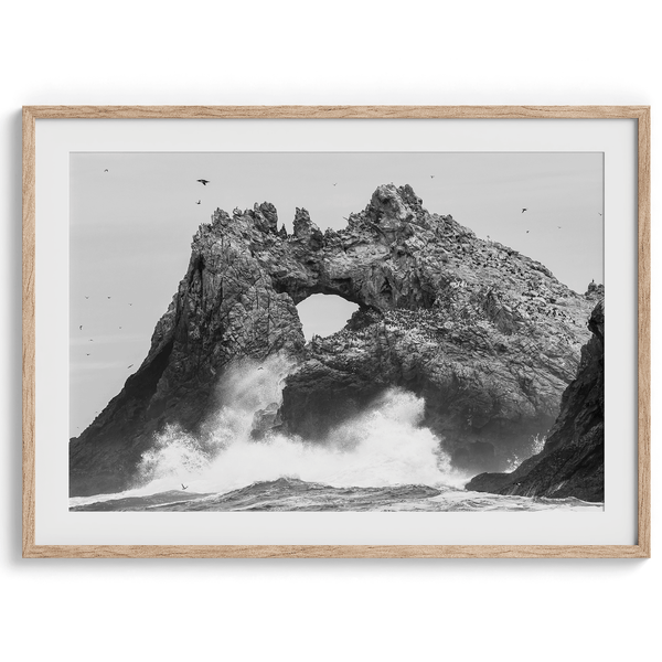 A fine art dramatic moody beach print featuring the stunning Farallon Islands near San Francisco with waves crashing against the rocks and hundreds of birds flying around.