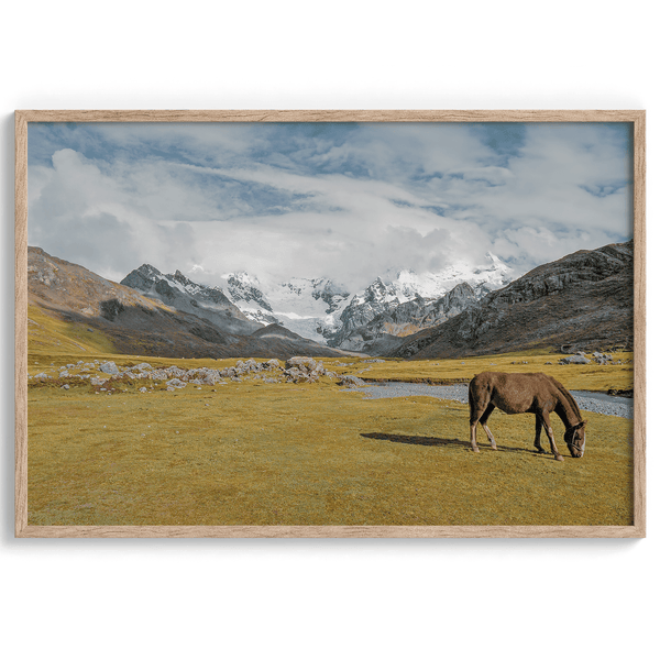 This stunning piece of mountain Horse wall art was taken in Peru and showcases beautiful snow-covered mountains and grassy meadows in Peru and a charming horse grazing relaxingly in the forefront of the picture.