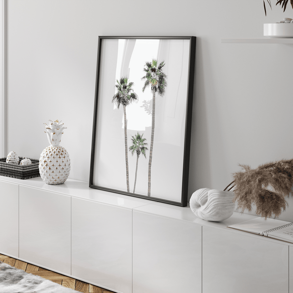 A fine art boho style palm tree print. This palm trees photo was taken in Palm Springs but these palm trees are the same California beach palm trees you can see along the California coast making it a perfect summer coastal or beach print.