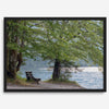 Framed serene lake print showing a bench by the water under lush green trees, with soft sunlight reflected on the calm lake surface.