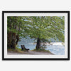 Framed serene lake print showing a bench by the water under lush green trees, with soft sunlight reflected on the calm lake surface.