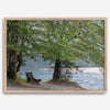 Framed serene lake print showing a bench by the water under lush green trees, with soft sunlight reflected on the calm lake surface.