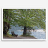 Framed serene lake print showing a bench by the water under lush green trees, with soft sunlight reflected on the calm lake surface.