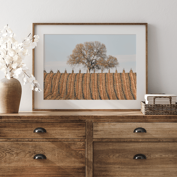 Wine Country - Wow Photo Art