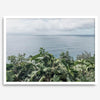 Tropical ocean view with lush green foliage overlooking the Pacific from Kauai, captured in fine art photography.