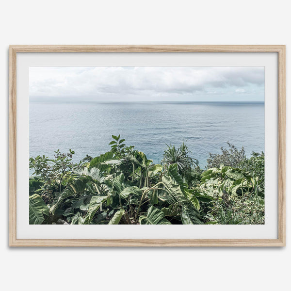 Tropical ocean view with lush green foliage overlooking the Pacific from Kauai, captured in fine art photography.