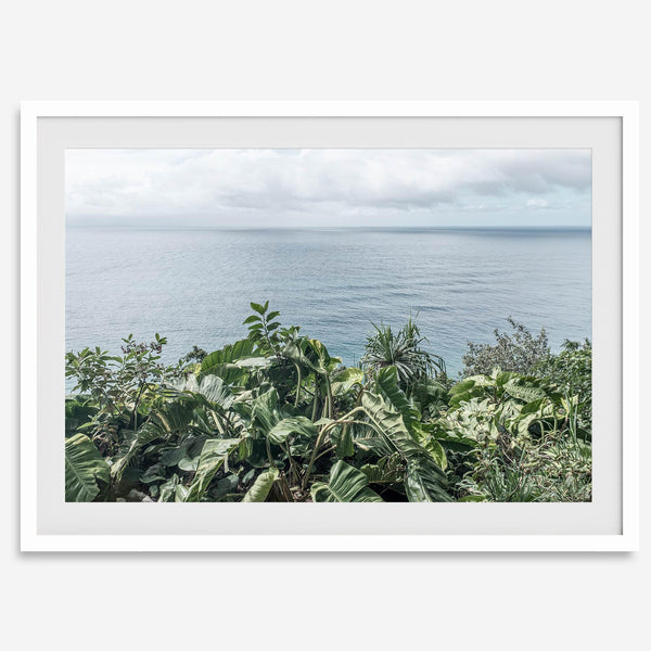 Tropical ocean view with lush green foliage overlooking the Pacific from Kauai, captured in fine art photography.