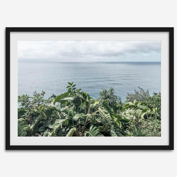 Tropical ocean view with lush green foliage overlooking the Pacific from Kauai, captured in fine art photography.