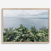 Tropical ocean view with lush green foliage overlooking the Pacific from Kauai, captured in fine art photography.
