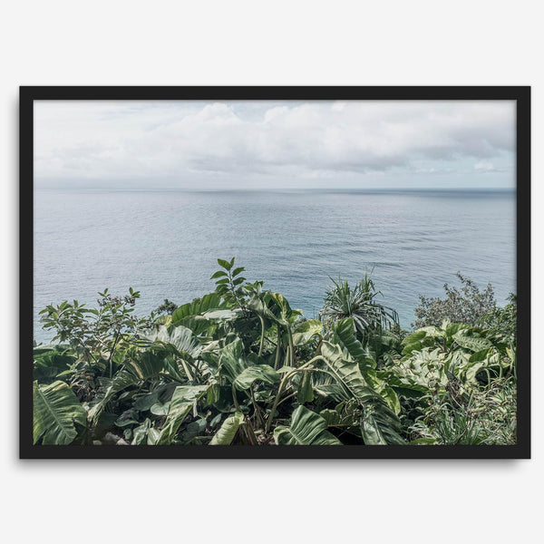 Tropical ocean view with lush green foliage overlooking the Pacific from Kauai, captured in fine art photography.