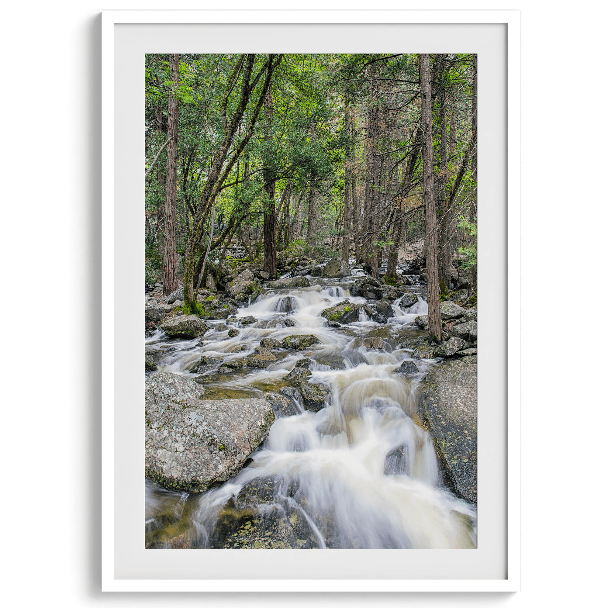 A beautiful river cuts through the forest, shot in long exposure making the water look creamy and calm in this fine art Yosemite National Park print.