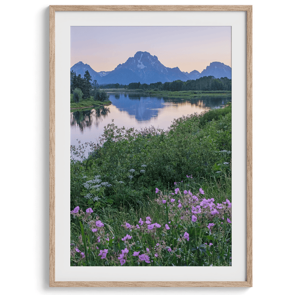 A fine art framed or unframed mountain print of Grand Teton National Park. This portrait orientation nature landscape wall art showcases the beautiful Teton mountains in a pink sunset, with Snake River and stunning flowers in the forefront.