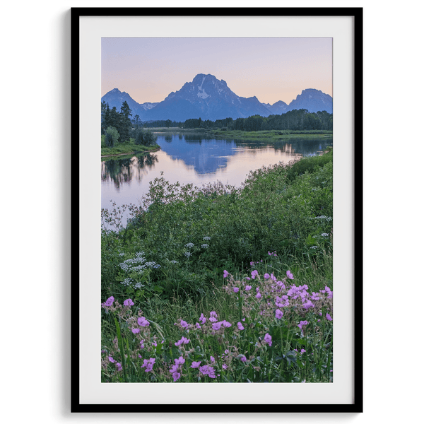 A fine art framed or unframed mountain print of Grand Teton National Park. This portrait orientation nature landscape wall art showcases the beautiful Teton mountains in a pink sunset, with Snake River and stunning flowers in the forefront.