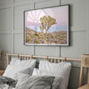 Fine art print of Joshua Tree landscape at pink and blue dusk