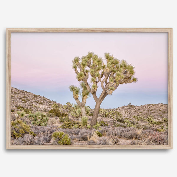 Fine art print of Joshua Tree landscape at pink and blue dusk