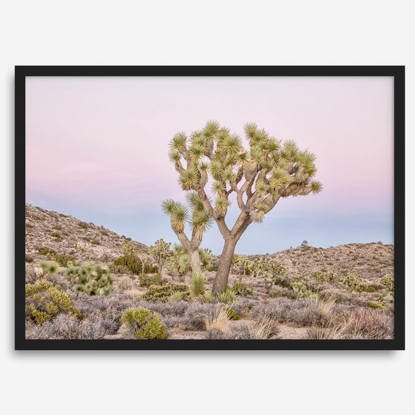 Fine art print of Joshua Tree landscape at pink and blue dusk