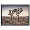 Joshua-Tree-National-Park-Sunset-Print-8