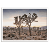 Joshua-Tree-National-Park-Sunset-Print-9