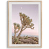 Joshua tree wall art featuring a pink desert sunset, with a tall Joshua tree silhouetted against the sky.