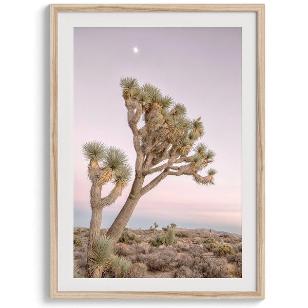 Joshua tree wall art featuring a pink desert sunset, with a tall Joshua tree silhouetted against the sky.