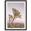 Joshua tree wall art featuring a pink desert sunset, with a tall Joshua tree silhouetted against the sky.